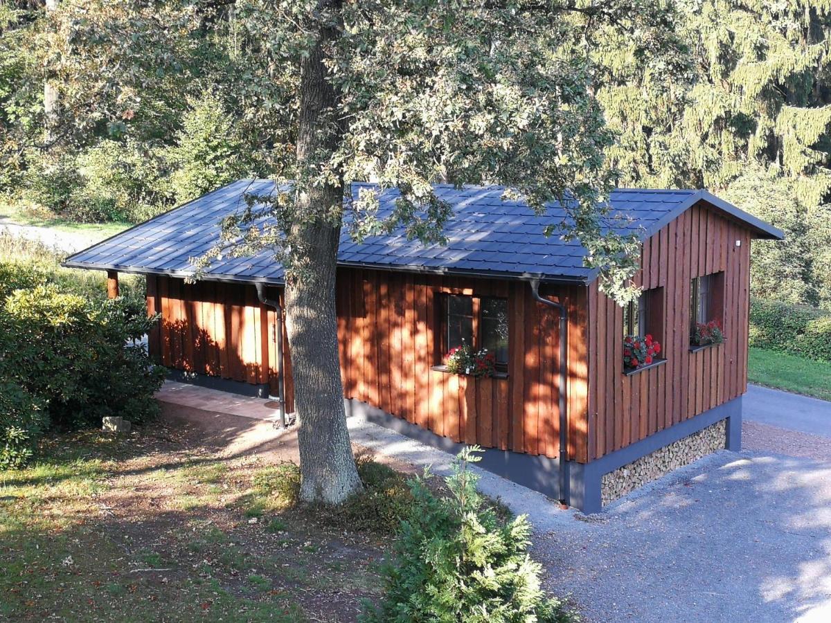 Haus Waldfrieden Apartment Altenberg Luaran gambar