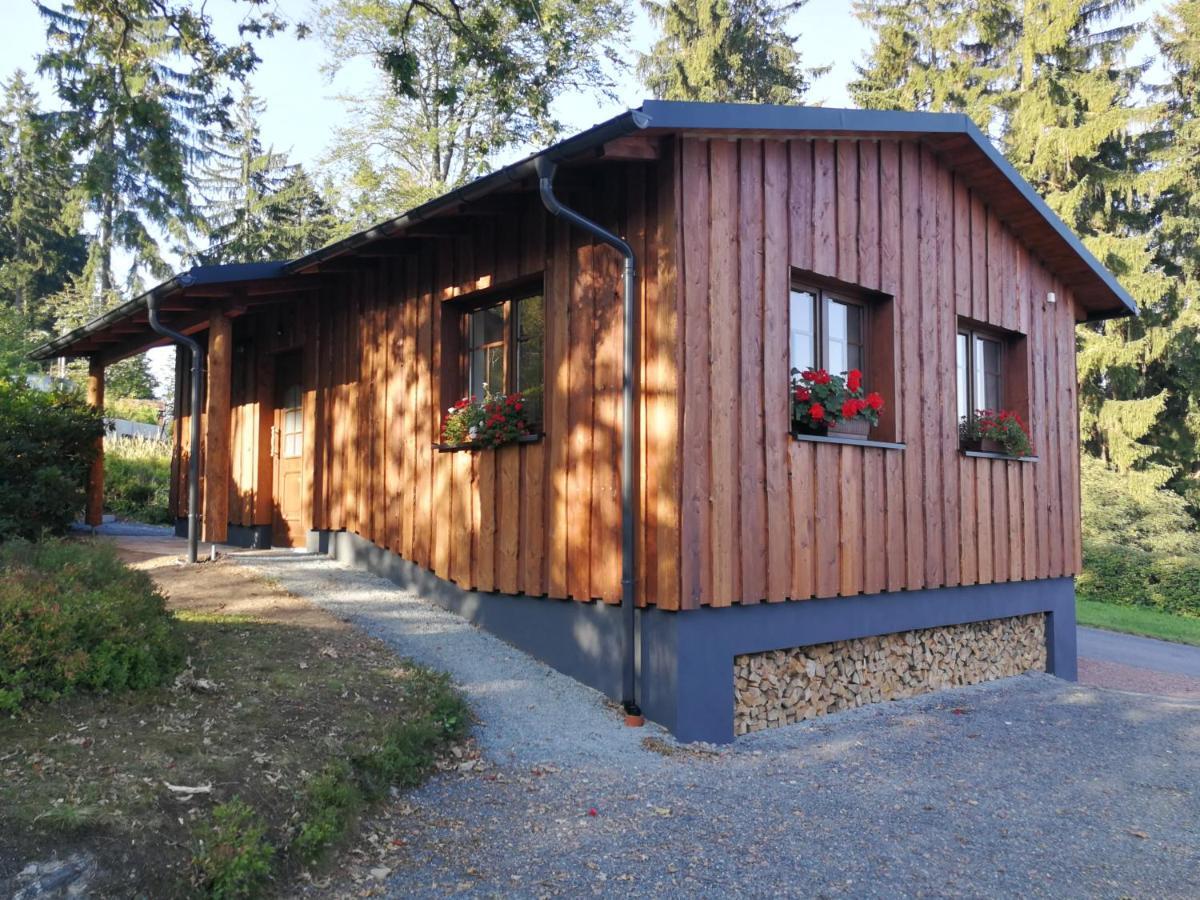 Haus Waldfrieden Apartment Altenberg Luaran gambar